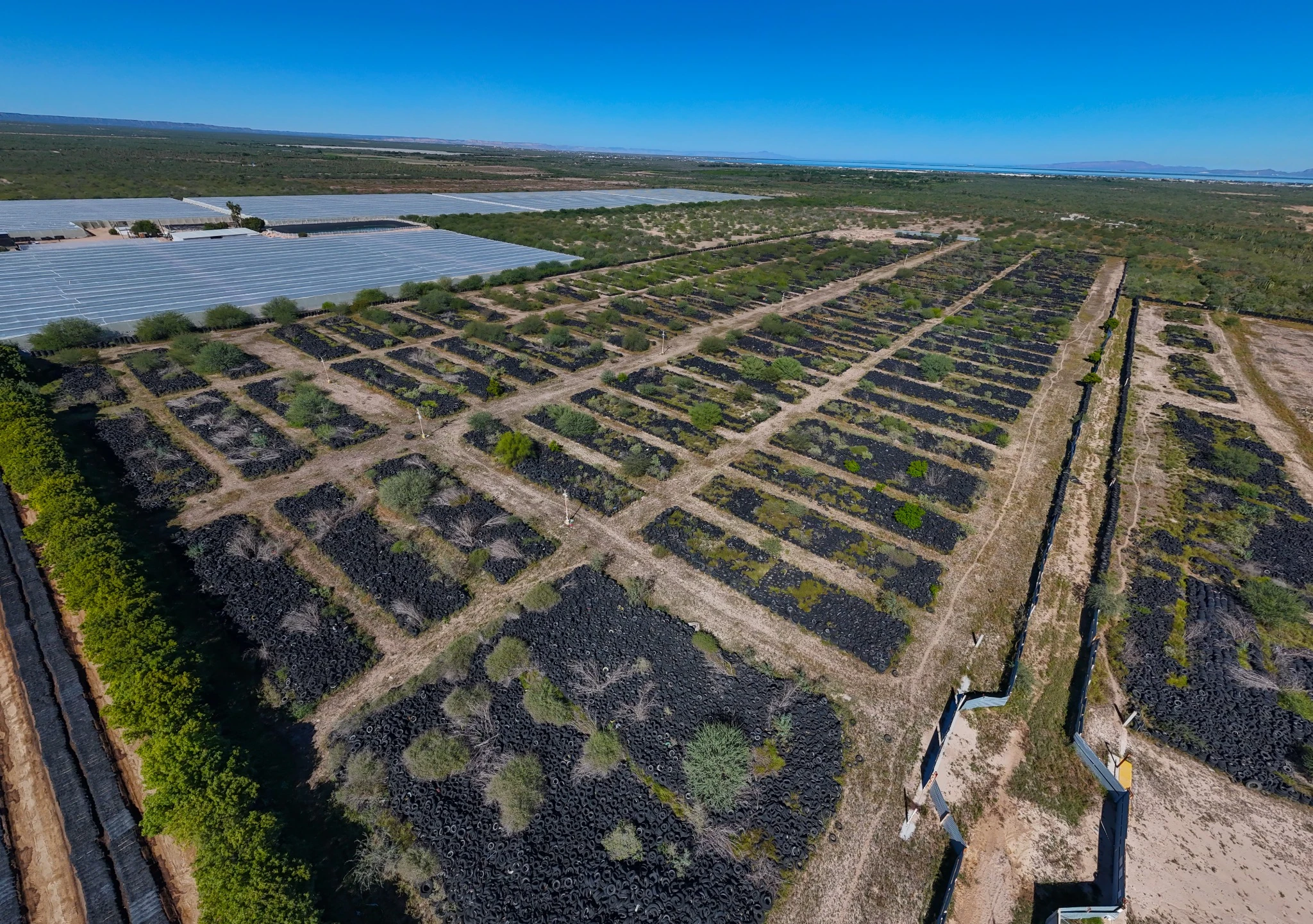 Carbon Black industrial plant aerial view 5